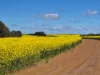 Lots 1021-1025 Oldfield and Mills Road, Munglinup WA 6450-Image