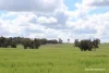 Lots 10632 & 25721 Strange Road, Jelcobine, WA 6306-Image