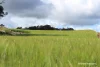 Lots 10632 & 25721 Strange Road, Jelcobine, WA 6306-Image