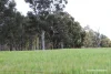 Lots 10632 & 25721 Strange Road, Jelcobine, WA 6306-Image