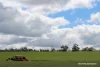 Lots 10632 & 25721 Strange Road, Jelcobine, WA 6306-Image