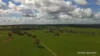 Lots 10632 & 25721 Strange Road, Jelcobine, WA 6306-Image