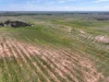 Lots 5 & 6 Mallee Highway, Ouyen, Vic 3490-Image