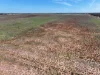 Lots 5 & 6 Mallee Highway, Ouyen, Vic 3490-Image