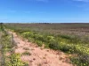 Lots 5 & 6 Mallee Highway, Ouyen, Vic 3490-Image