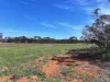 Lots 5 & 6 Mallee Highway, Ouyen, Vic 3490-Image