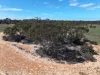 Lots 5 & 6 Mallee Highway, Ouyen, Vic 3490-Image
