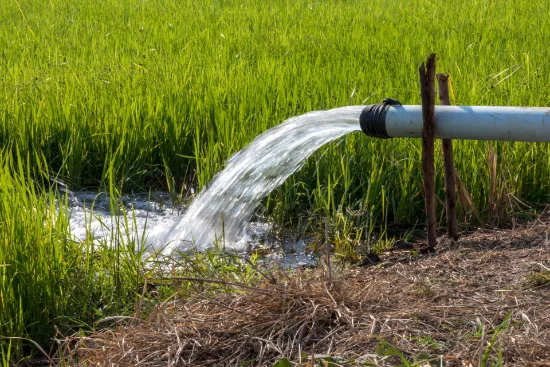 Lower Gwydir Bore Licence 12 Megalitres, Moree, NSW 2400