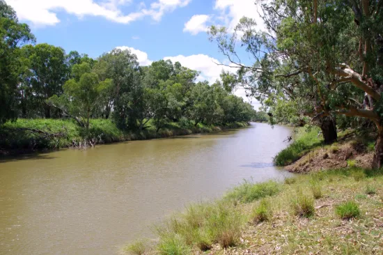 Lower Namoi Water Auction, Narrabri, NSW 2390