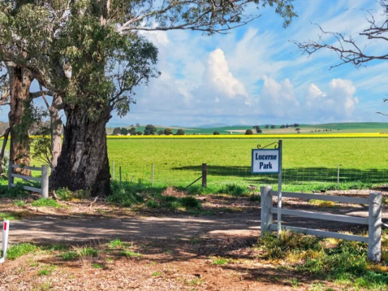'Lucerne Park', Booborowie SA 5417-Image
