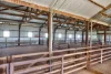 'Lucerne Park', Booborowie SA 5417-Image