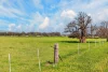 'Lucerne Park', Booborowie SA 5417-Image