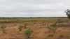 * MAUREEN JOY STATION, Yantabulla, NSW 2840-Image
