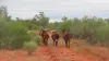 * MAUREEN JOY STATION, Yantabulla, NSW 2840-Image
