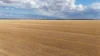 "McErvales" Culgoa-Ultima Road, Culgoa, Vic 3530-Image