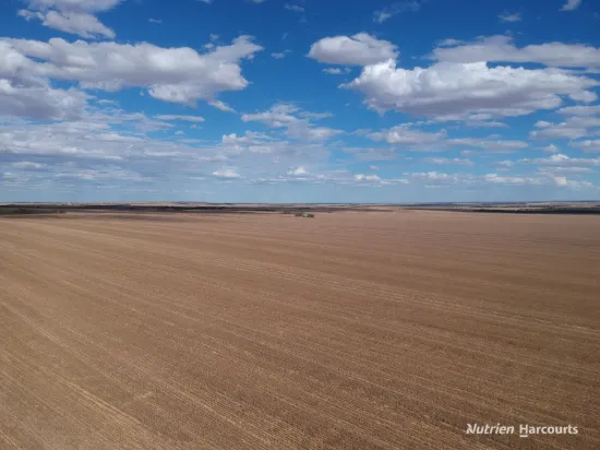 . McRoberts Road, Tenindewa, WA 6632