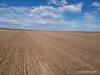 . McRoberts Road, Tenindewa, WA 6632-Image