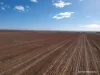 . McRoberts Road, Tenindewa, WA 6632-Image
