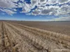 . McRoberts Road, Tenindewa, WA 6632-Image