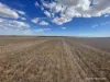 . McRoberts Road, Tenindewa, WA 6632-Image
