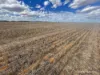 . McRoberts Road, Tenindewa, WA 6632-Image