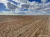 . McRoberts Road, Tenindewa, WA 6632-Image