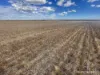 . McRoberts Road, Tenindewa, WA 6632-Image