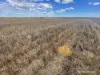 . McRoberts Road, Tenindewa, WA 6632-Image