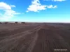 . McRoberts Road, Tenindewa, WA 6632-Image