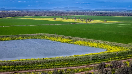 Mid Western HWY Via, Forbes, NSW 2871 - For Sale