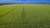 Mid Western HWY Via, Forbes, NSW 2871-Image