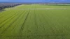 Mid Western HWY Via, Forbes, NSW 2871-Image