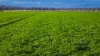 Mid Western HWY Via, Forbes, NSW 2871-Image