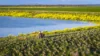 Mid Western HWY Via, Forbes, NSW 2871-Image