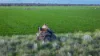 Mid Western HWY Via, Forbes, NSW 2871-Image