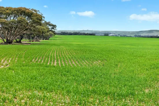 'Milde's' Keller Road, Point Pass SA 5374-Image