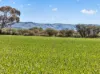 'Milde's' Keller Road, Point Pass SA 5374-Image