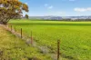 'Milde's' Keller Road, Point Pass SA 5374-Image