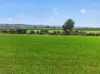'Milde's' Keller Road, Point Pass SA 5374-Image