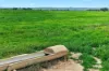'Milde's' Keller Road, Point Pass SA 5374-Image