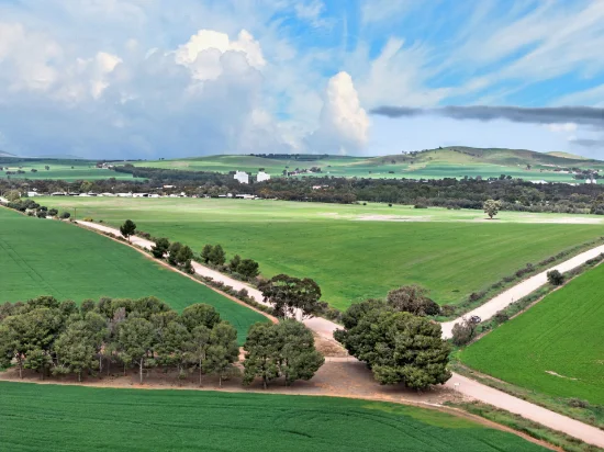 'Molino' Black Road, Gladstone SA 5473-Image