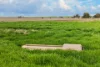 'Molino' Black Road, Gladstone SA 5473-Image