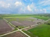 'Molino' Black Road, Gladstone SA 5473-Image