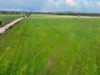 'Molino' Black Road, Gladstone SA 5473-Image