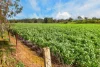 'Moores' Moores Road, Auburn SA 5451-Image