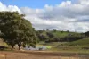 'Morella' 1257 Bundalah Road, Euchareena NSW 2866-Image