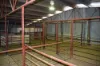 'Morella' 1257 Bundalah Road, Euchareena NSW 2866-Image