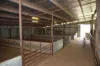 'Morella' 1257 Bundalah Road, Euchareena NSW 2866-Image