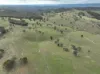 'Morella' 1257 Bundalah Road, Euchareena NSW 2866-Image