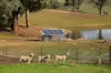'Morella' 1257 Bundalah Road, Euchareena NSW 2866-Image